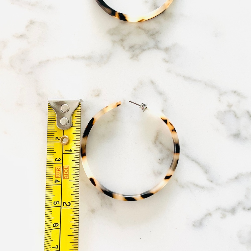 Tortoise Hoops - image 8